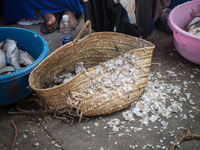 Scaling fish, Tanzania